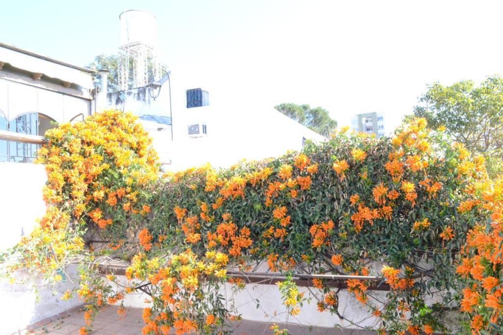 Casa Colonial En Salta Nueva Y Antigua Διαμέρισμα Εξωτερικό φωτογραφία
