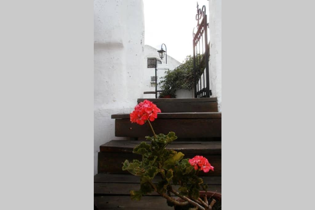 Casa Colonial En Salta Nueva Y Antigua Διαμέρισμα Εξωτερικό φωτογραφία
